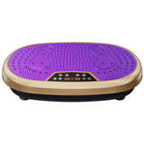 Whole Body Vibration Platform Machine